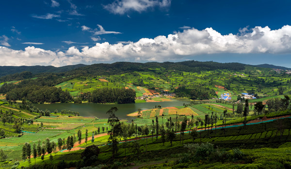 14-ooty