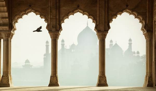 Visitors to the Agra Fort can enjoy views of both landmarks at once © tunart/iStock