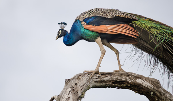 bundalanationalpark