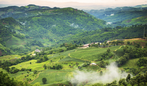 darjeeling