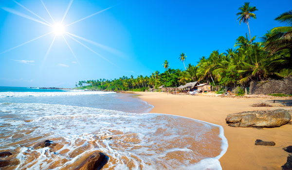 greaves_sri-lanka_tropical-beach_credit-shutterstock-user-anton-gvozdikov