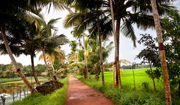 kerala