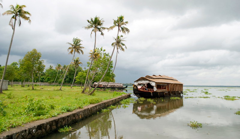 Indian Wellness | Monsoon