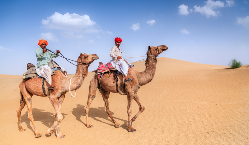 Camels In Rajasthan | Joanna Lumley's India