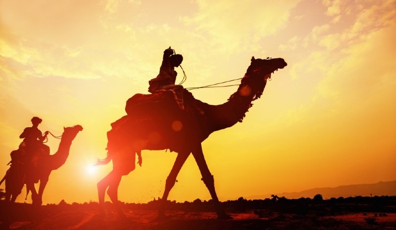 11 Indian Experiences | Desert Safari