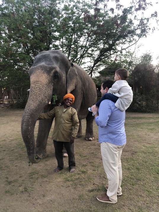 Another highlight our family India trip, up close and personal with the Elephants