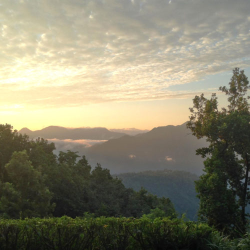 View of the himalayas from ananda