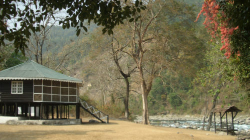 View of glenburn-tea-estate