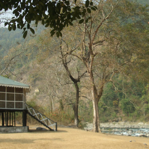 View of glenburn-tea-estate