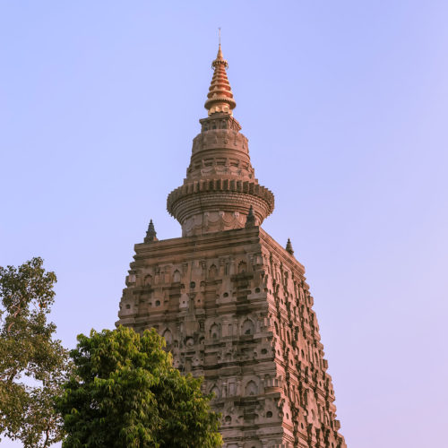 greaves_east_india_bodh_gaya