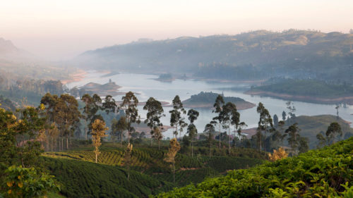 Tea Trails, Sri Lanka