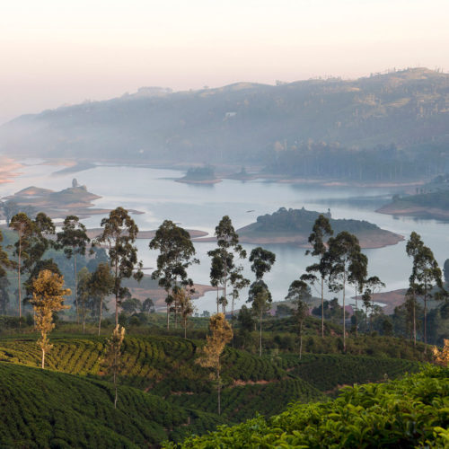 Tea Trails, Sri Lanka