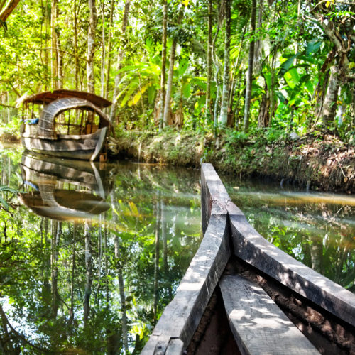 kochi-river-boat