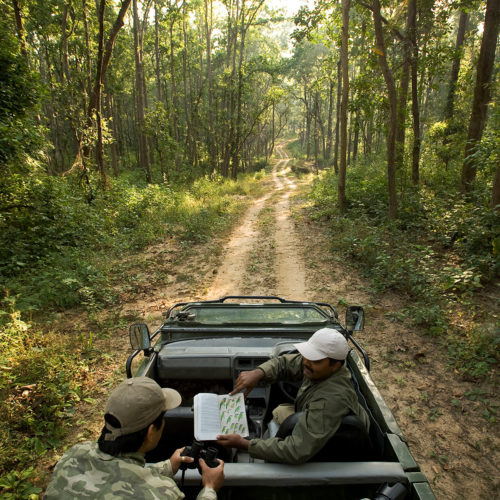 taj-banjaar-tola-safari