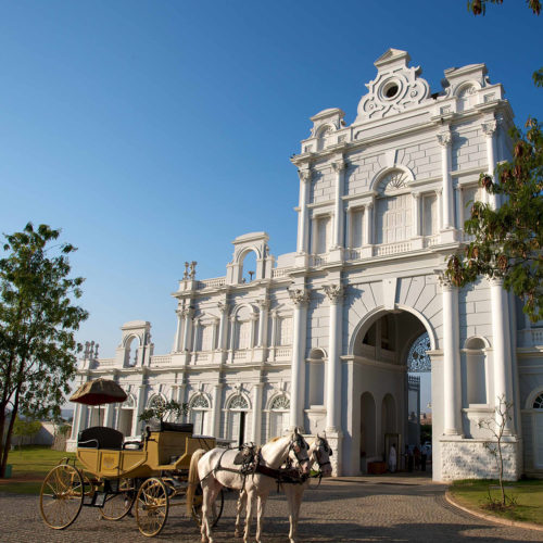 taj-falaknuma-palace-horses